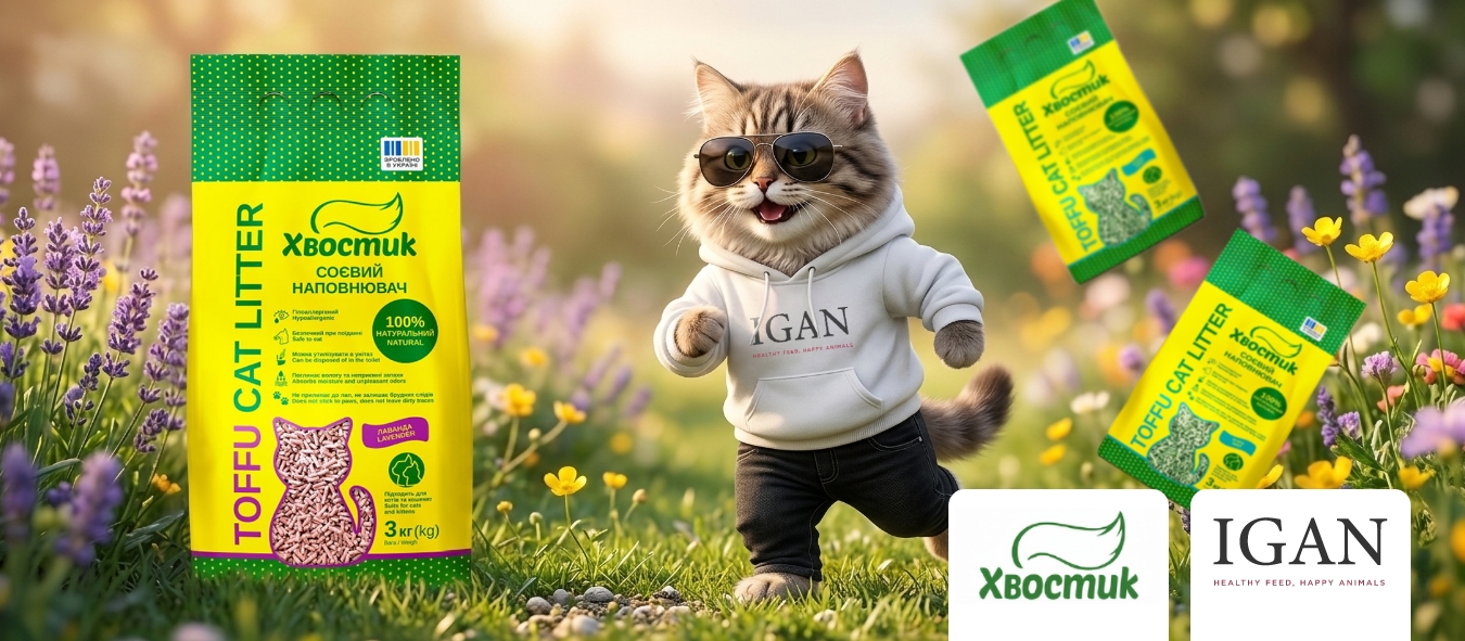 Описание изображения